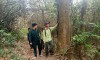 Bình Thuận nghiên cứu chính sách hỗ trợ lực lượng chuyên trách bảo vệ rừng
