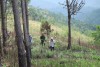 Lâm Đồng: Mỗi kiểm lâm viên phải quản tới… 20 ngàn ha rừng