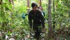 Ðạ Tẻh: Nhiều chuyển biến tích cực trong công tác quản lý, bảo vệ rừng