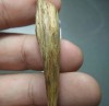 Việt Nam sở hữu loại gỗ thượng hạng nhất thế giới giá 50 tỷ/kg: Quý như kim cương, 3000 năm mới có