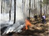 Ban Thường vụ Tỉnh ủy yêu cầu tăng cường công tác phòng, chống cháy nổ và cháy rừng trong mùa khô