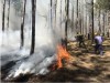 Ban Thường vụ Tỉnh ủy yêu cầu tăng cường công tác phòng, chống cháy nổ và cháy rừng trong mùa khô