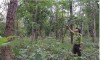 Phía sau những cánh rừng: Gian nan bài toán giữ chân người giữ rừng (Bài 4)
