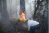 Đà Lạt: Cơ bản khống chế cháy rừng thông thuộc Khu Du lịch quốc gia hồ Tuyền Lâm