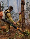 Đức Trọng: Kịp thời dập tắt đám cháy hơn 2 ha rừng tự nhiên