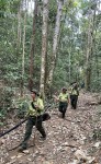 Đam Rông: Chủ động, quyết liệt trong phòng chống cháy rừng