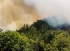 Khẩn trương thực hiện các chế độ với các cán bộ Kiểm lâm bị tử vong khi tham gia chữa cháy rừng