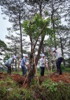 Lâm Đồng phát động “Tết trồng cây” nhân dịp kỷ niệm 134 năm Ngày sinh của Bác Hồ