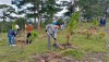 Ghi nhận nỗ lực trồng rừng, tái sinh rừng tại Đà Lạt