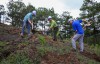 Cán bộ, công chức Khối Kinh tế Kỹ thuật tỉnh Lâm Đồng thi đua trồng cây, gây rừng