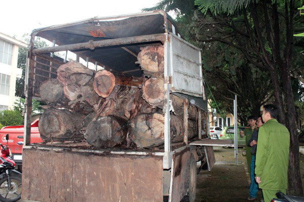 Đức Trọng: Bắt quả tang xe tải chở gỗ lậu