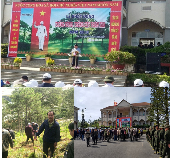 Công tác trồng cây làm theo lời Bác trên địa bàn tỉnh Lâm Đồng năm 2019